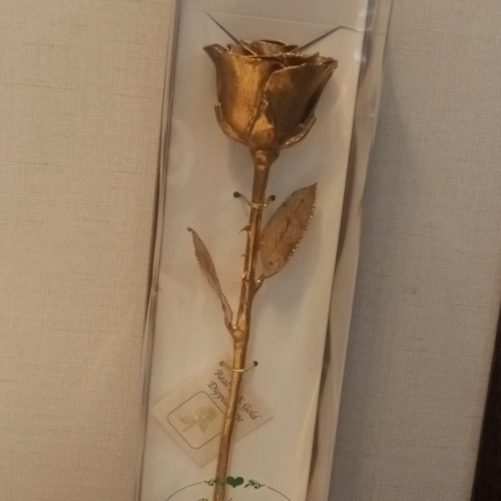 A rose preserved in 24 K GOLD